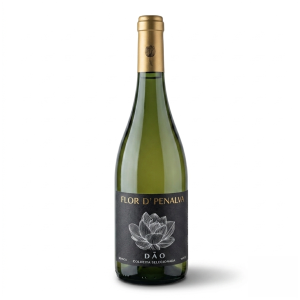 Flor de Penalva Colheita Branco, Vinho Branco com elegância e frescor, ideal para momentos especiais.