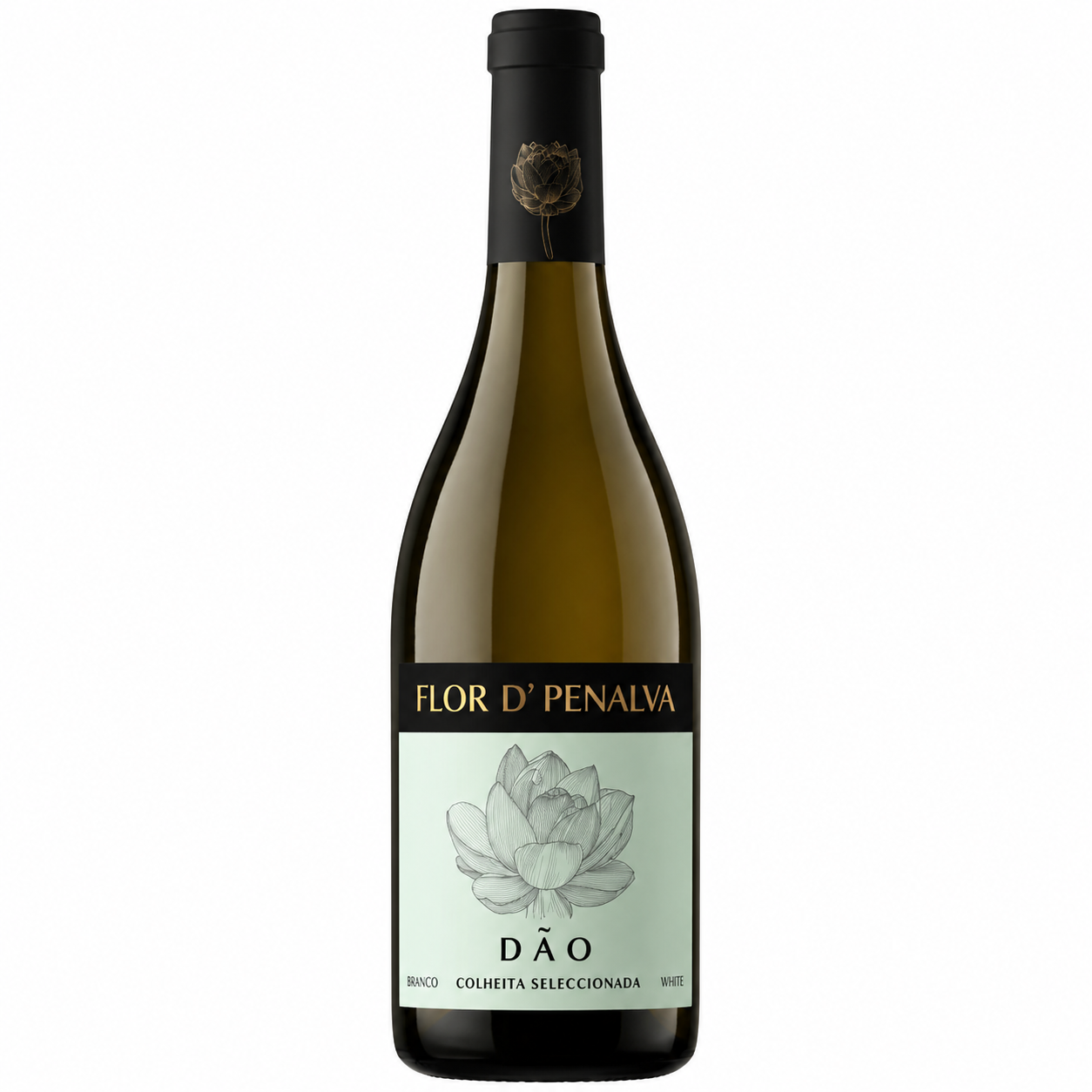 Flor de Penalva Colheita Selecionada, Vinho Branco elegante, com frescor e notas frutadas, ideal para ocasiões especiais.