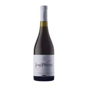 José Piteira Branco, Vinho fresco e elegante com notas frutadas, ideal para pratos leves e momentos descontraídos.